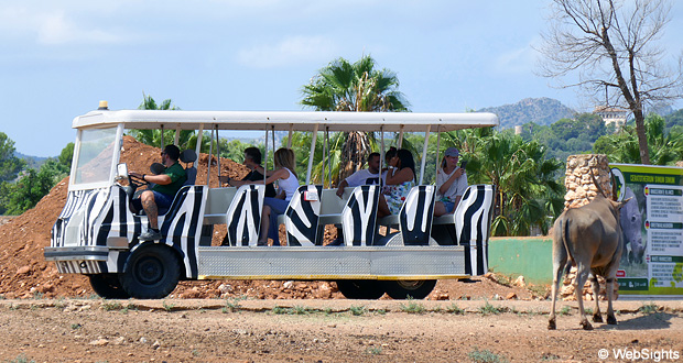 zoo safari park mallorca